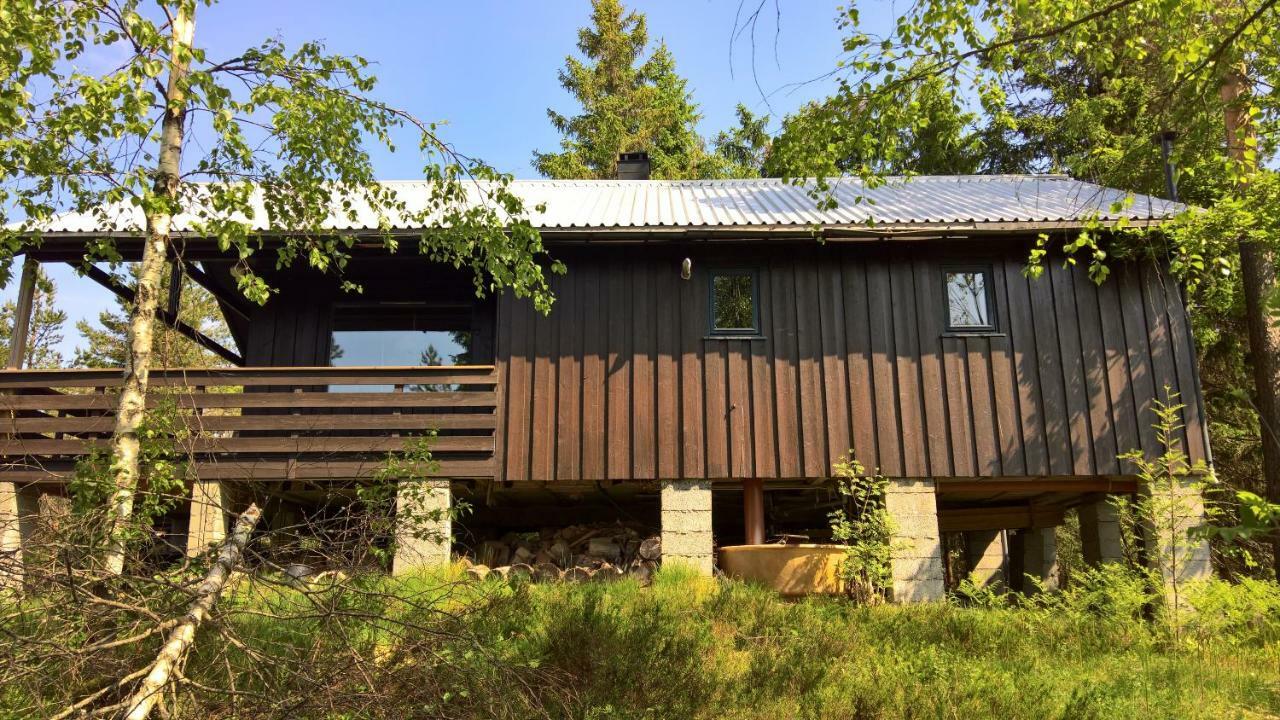 Skogheim Two-Bedroom Cottage Birkeland Экстерьер фото